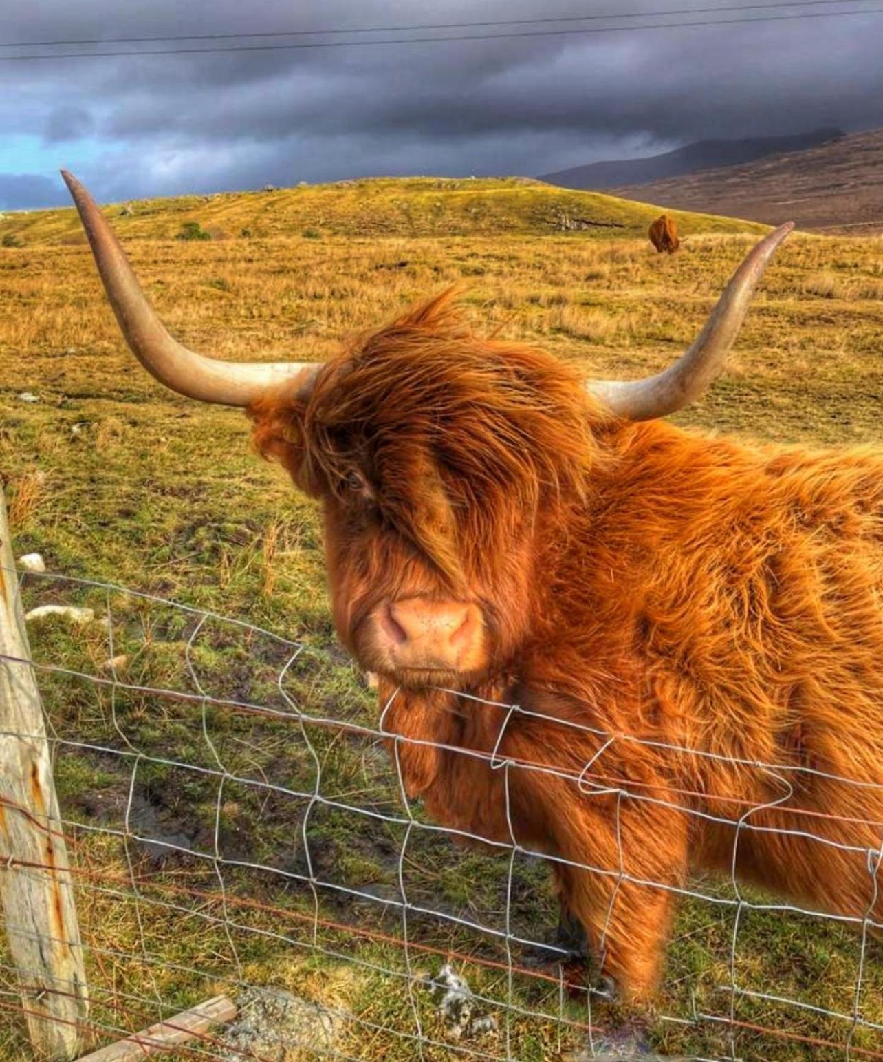 Roam West Hotell Fort William Exteriör bild